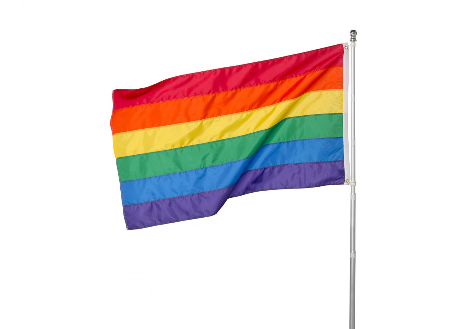 Disability Pride Flag & HRC Pride Flag