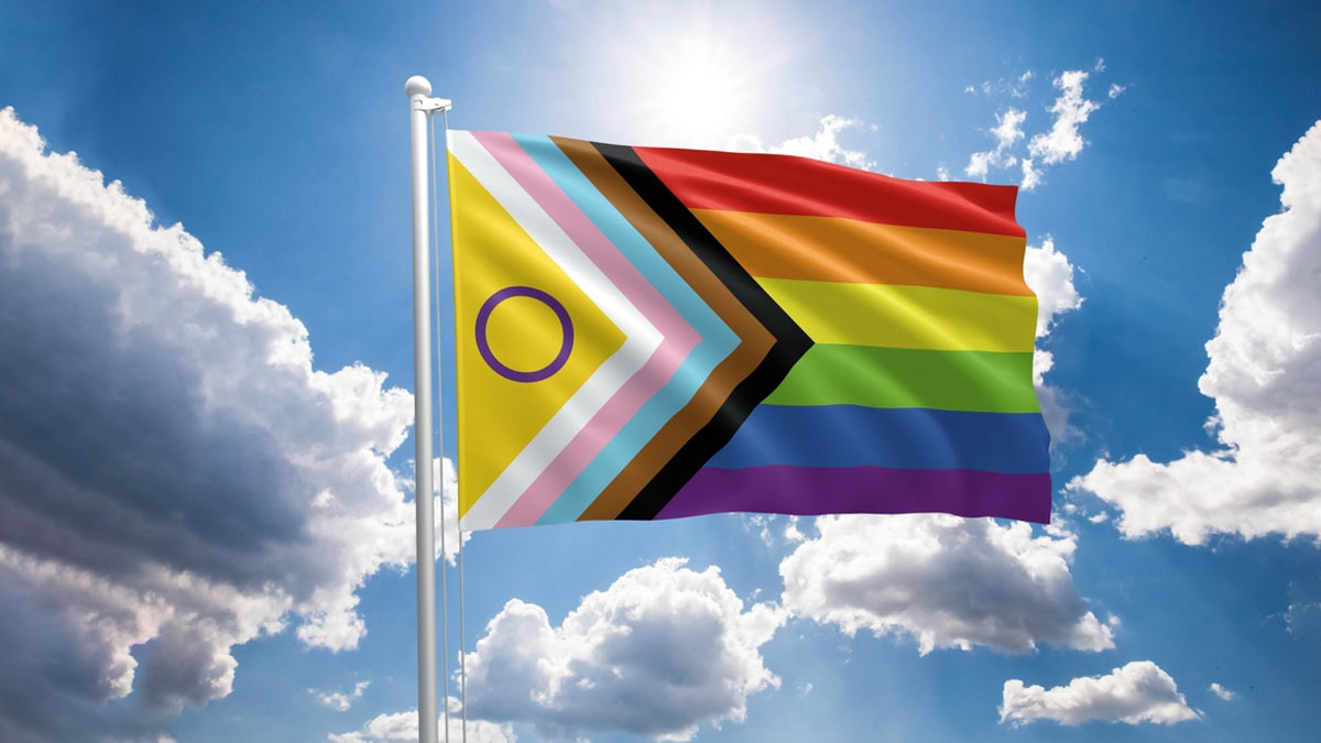 Disability Pride Flag & HRC Pride Flag