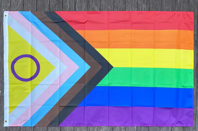 Disability Pride Flag & HRC Pride Flag
